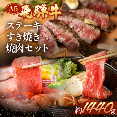 飛騨牛 ステーキ・すき焼き・焼肉セット 4種類【11-49】