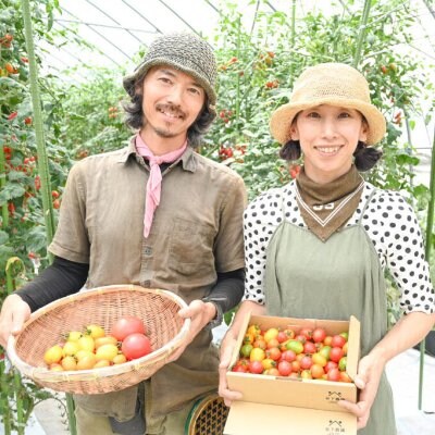 【飛騨産】麗月トマトジュースセット　3種飲み比べ(180ml×各1本)【61-4】