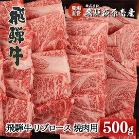 【冷凍】飛騨牛リブロース 500g(焼肉用)【22-20【1】】