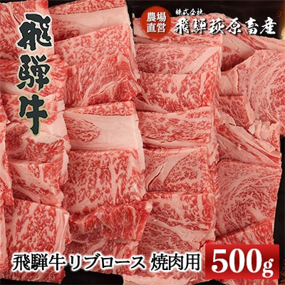  【冷凍】飛騨牛リブロース　500g(焼肉用)【22-20【1】】