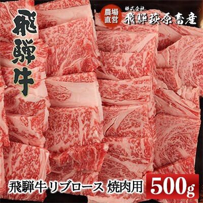  【冷凍】飛騨牛リブロース　500g(焼肉用)【22-20【1】】