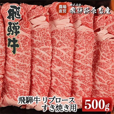  【冷凍】飛騨牛リブロース　500g(すき焼き用)【22-20【2】】