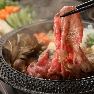 【冷凍】飛騨牛リブロース　500g(すき焼き用)【22-20【2】】