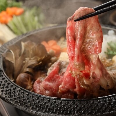  【年内発送】【冷凍】飛騨牛リブロース　500g(すき焼き用)【22-20【2】n】