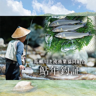 【令和8年】馬瀬川上流鮎年釣証 1枚 まぜ 馬瀬 下呂市 下呂温泉 火ぶり漁【36-1】