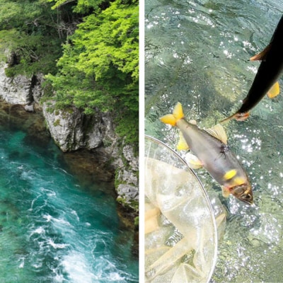 【令和8年】馬瀬川上流鮎年釣証 1枚 まぜ 馬瀬 下呂市 下呂温泉 火ぶり漁【36-1】