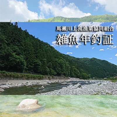 先行受付【令和8年】馬瀬川上流雑魚年釣証  1枚 渓流釣り【36-2】