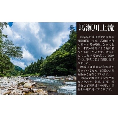 先行受付【令和8年】馬瀬川上流雑魚年釣証  1枚 渓流釣り【36-2】