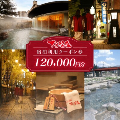 下呂温泉宿泊利用クーポン券(120,000円分)宿泊券 旅行 旅館 ホテル 12万円【a001-5】