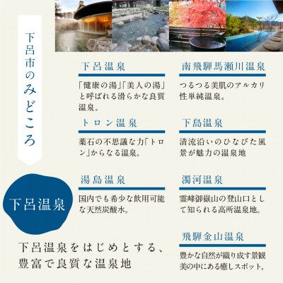 下呂温泉宿泊利用クーポン券(150,000円分)宿泊券 旅館 旅行 ホテル 15万円【a001-6】