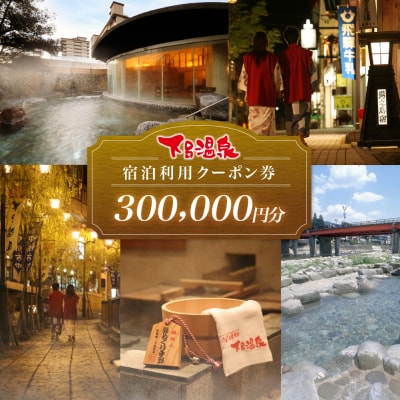 下呂温泉宿泊利用クーポン券(300,000円分)宿泊券 旅行 旅館 ホテル 30万円【a001-7】