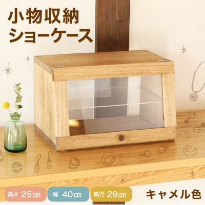 ショーケース(高さ25cm 幅40cm 奥行29cm)収納棚 飾り棚 ケース 棚【62-19】