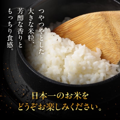 (受付終了)【2024年産】3kg×1袋 飛騨産・龍の瞳(いのちの壱)【14-2】
