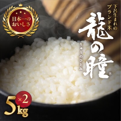 (受付終了)【2024年産】5kg×2袋(計 10kg)飛騨産・龍の瞳(いのちの壱)【14-8】