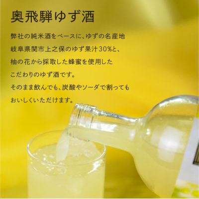 【年内順次発送】奥飛騨ゆず酒  500ml×2本 セット 柚子【16-35n】