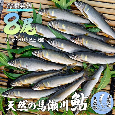 清流が育む天然の馬瀬川鮎 8尾(1尾あたり50g～80g以上 (混) 大・中・小セット)【26-3】