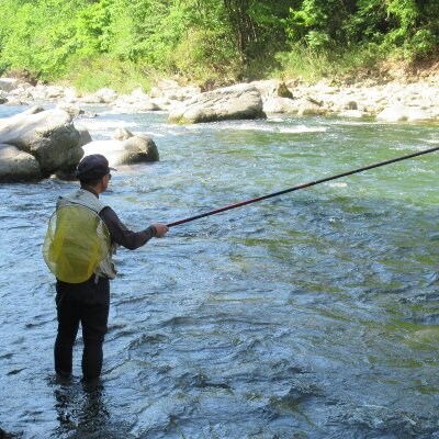 清流が育む天然の馬瀬川鮎 8尾(1尾あたり50g～80g以上 (混) 大・中・小セット)【26-3】