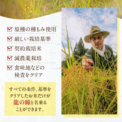 【2025年産】3kg×1 飛騨産・龍の瞳(いのちの壱)株式会社龍の瞳直送 【14-12】