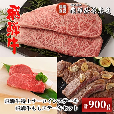 飛騨牛特上サーロイン(200g×3枚)・ももステーキ(150g×2枚)【22-10】