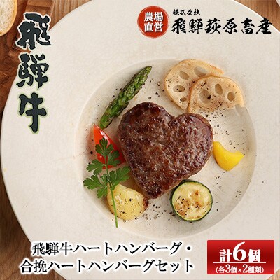 飛騨牛ハートハンバーグ・合挽ハートハンバーグセット(各3個・計6個)【22-13】 | ふるさと納税のお礼品
