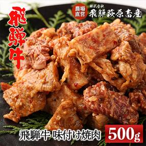 【冷凍】飛騨牛(4等級以上)味付け焼肉 500g 国産 牛肉 【22-12】