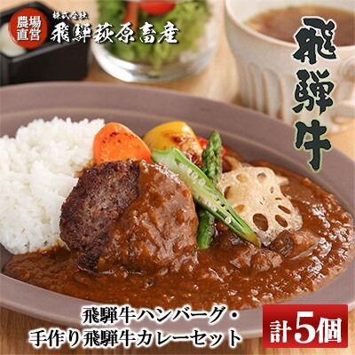 飛騨牛ハンバーグ(100g×3個)・手作り飛騨牛カレー(2個) セット【22-11】 | ふるさと納税のお礼品
