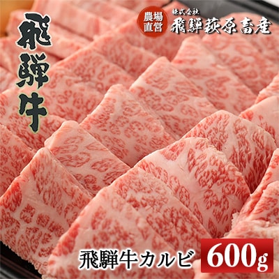  【冷凍】飛騨牛カルビ  600g　国産 牛肉【22-16】