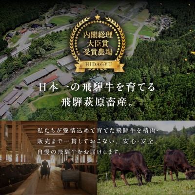 【冷凍】飛騨牛カルビ 300g 牛肉 焼肉 焼き肉 下呂温泉【22-3】