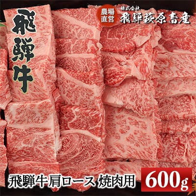  【冷凍】飛騨牛肩ロース　600g(焼肉用)【22-19【1】】