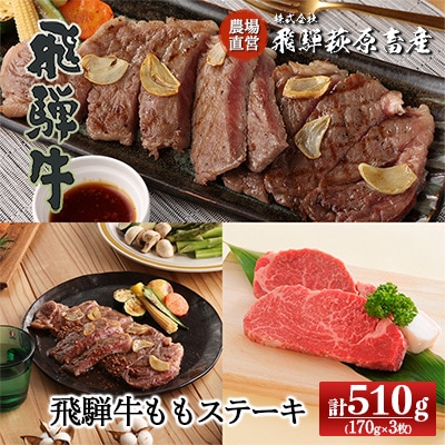  【年内発送】【冷凍】飛騨牛ももステーキ 170g×3枚　牛肉 赤身【22-6n】