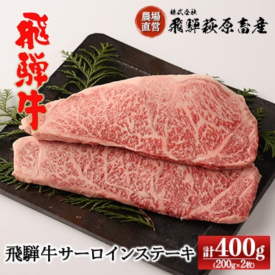  【冷凍】飛騨牛サーロインステーキ　 200g×2枚　国産 牛肉【22-17】