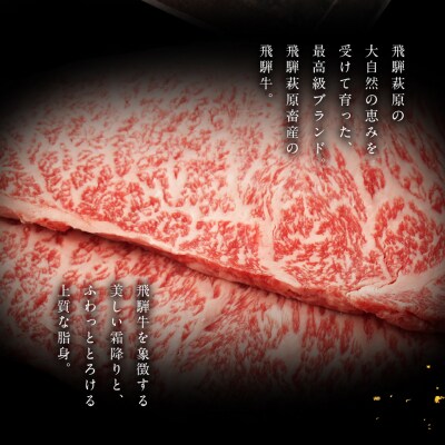 【冷凍】飛騨牛サーロインステーキ　 200g×2枚　国産 牛肉【22-17】