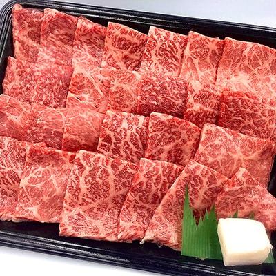 【冷凍】菊の井 飛騨牛モモ焼肉  500g(4～5人前)【70-4】