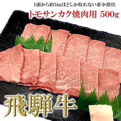 菊の井 飛騨牛トモサンカク焼肉  500g(4～5人前)【70-6】 | ふるさと納税のお礼品