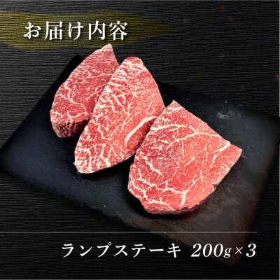 【冷凍】菊の井 飛騨牛ランプステーキ  200g×3  牛肉【70-27】