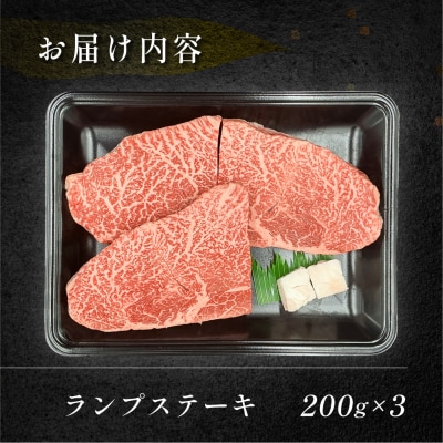 【冷凍】菊の井 飛騨牛ランプステーキ  200g×3  牛肉【70-27】