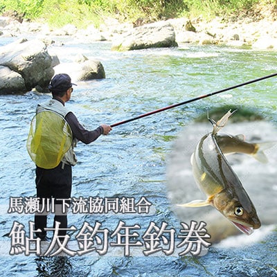 【先行受付】【令和9年】(2027年5月から順次発送)馬瀬川下流 鮎友釣年釣券 1枚【26-4】