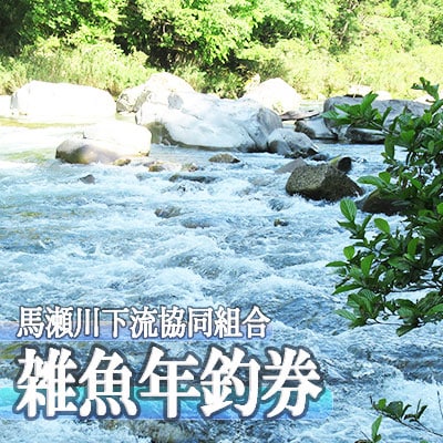 予約受付【令和8年】馬瀬川下流!! 雑魚年釣券  渓流釣り 年券 【26-5】
