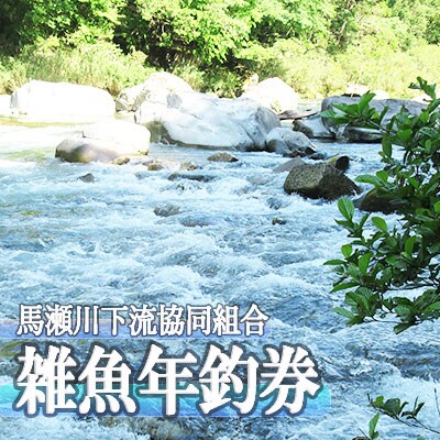 【令和8年】馬瀬川下流 雑魚年釣券  渓流釣り 年券 【26-5】