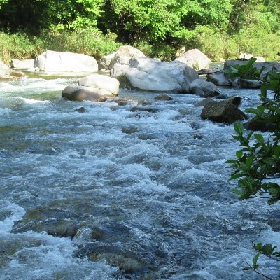 予約受付【令和8年】馬瀬川下流!! 雑魚年釣券  渓流釣り 年券 【26-5】