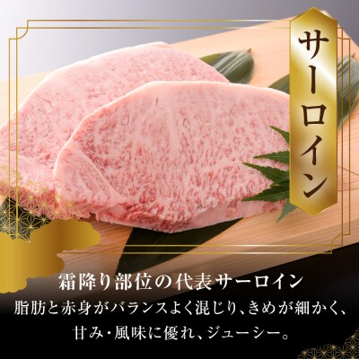【年内発送】【高級】飛騨牛A5ランク サーロインステーキ 800g 牛肉 【39-12n】