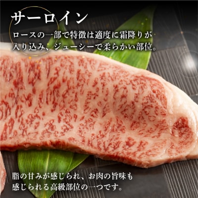 【冷凍】菊の井 飛騨牛サーロインステーキ 300g【70-11】