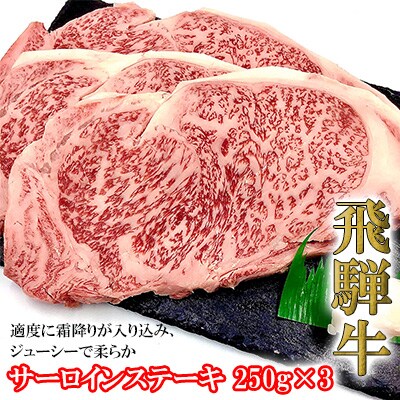【冷凍】菊の井 飛騨牛サーロインステーキ 250g×3 牛肉 【70-13】