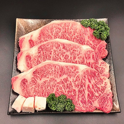 【冷凍】菊の井 飛騨牛サーロインステーキ 250g×3 牛肉 【70-13】