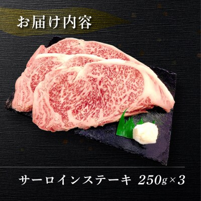 【年内順次発送】【冷凍】菊の井 飛騨牛サーロインステーキ 250g×3 牛肉 【70-13n】