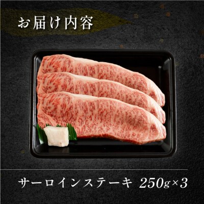 【冷凍】菊の井 飛騨牛サーロインステーキ 250g×3 牛肉 【70-13】