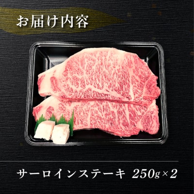 【年内順次発送】【冷凍】菊の井 飛騨牛サーロインステーキ  250g×2 牛肉【70-12n】