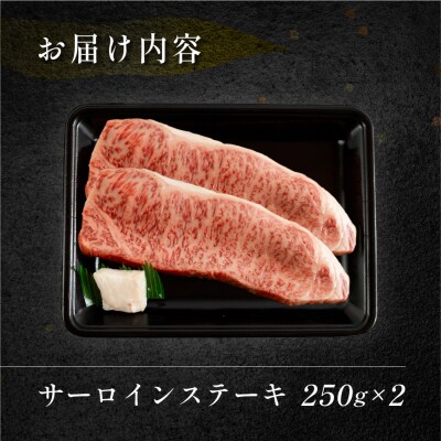 【冷凍】菊の井 飛騨牛サーロインステーキ  250g×2 牛肉【70-12】