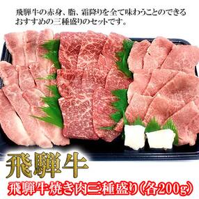 【冷凍】菊の井 飛騨牛焼肉三種盛り(カルビ、モモ、トモサンカク 各200g)牛肉 国産【70-25】