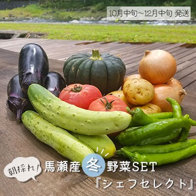 【美しい村 馬瀬産】朝採れ!「冬」 野菜SET 『シェフセレクト』冬収穫 野菜セット【79-5】